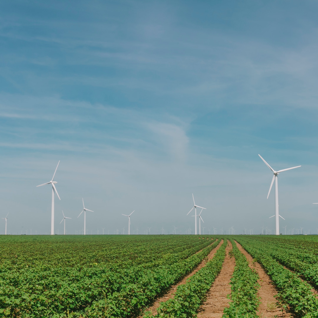 Torres Eólicas - Zero Beta Investments